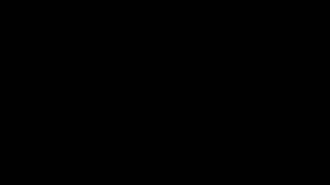 home slider2