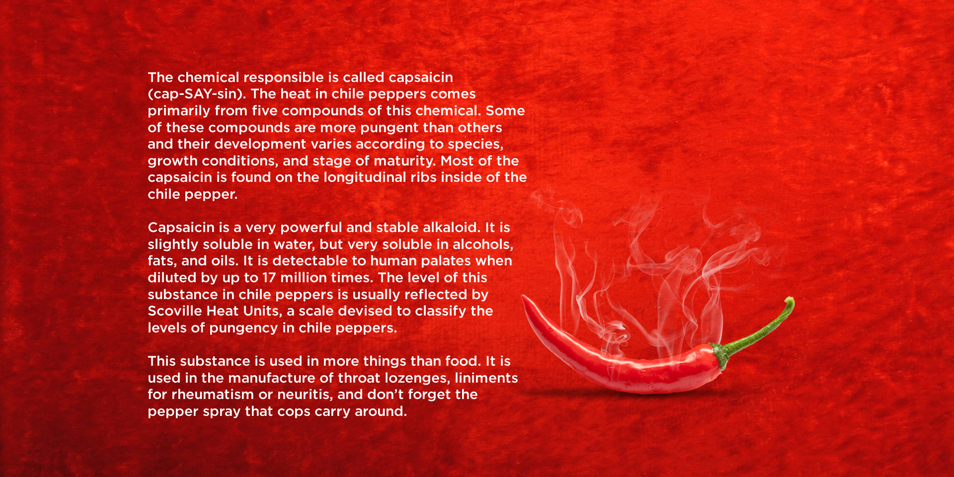 Fact 3: What makes chilli hot?